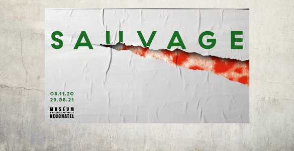 Sauvage Exhibit Natural History Museum Neuchatel