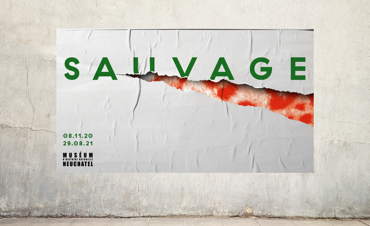 Sauvage Exhibit Natural History Museum Neuchatel