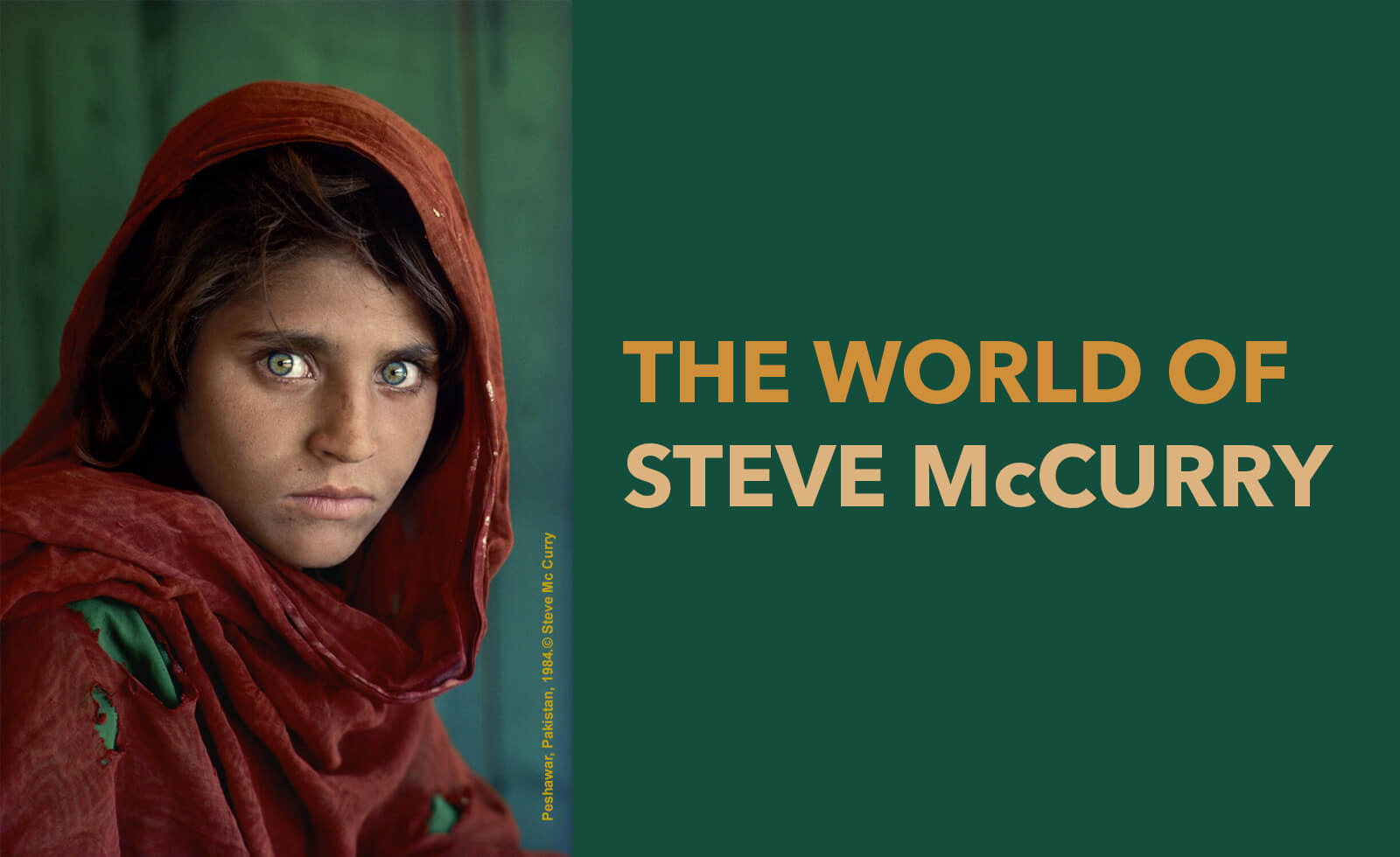 The World of Steve McCurry Photography Exhibit