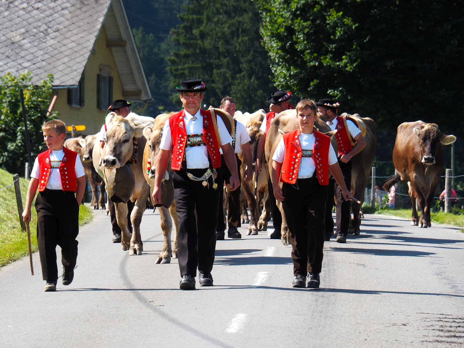 Alpine Descent in Appenzell 2021