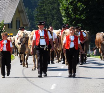 Alpine Descent in Appenzell 2021
