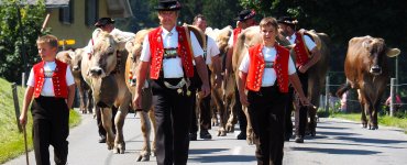 Alpine Descent in Appenzell 2021