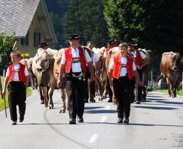 Alpine Descent in Appenzell 2021