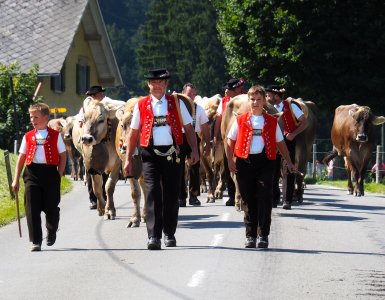 Alpine Descent in Appenzell 2021