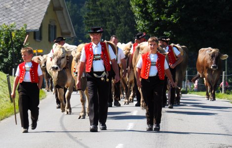 Alpine Descent in Appenzell 2021