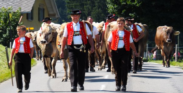 Alpine Descent in Appenzell 2021