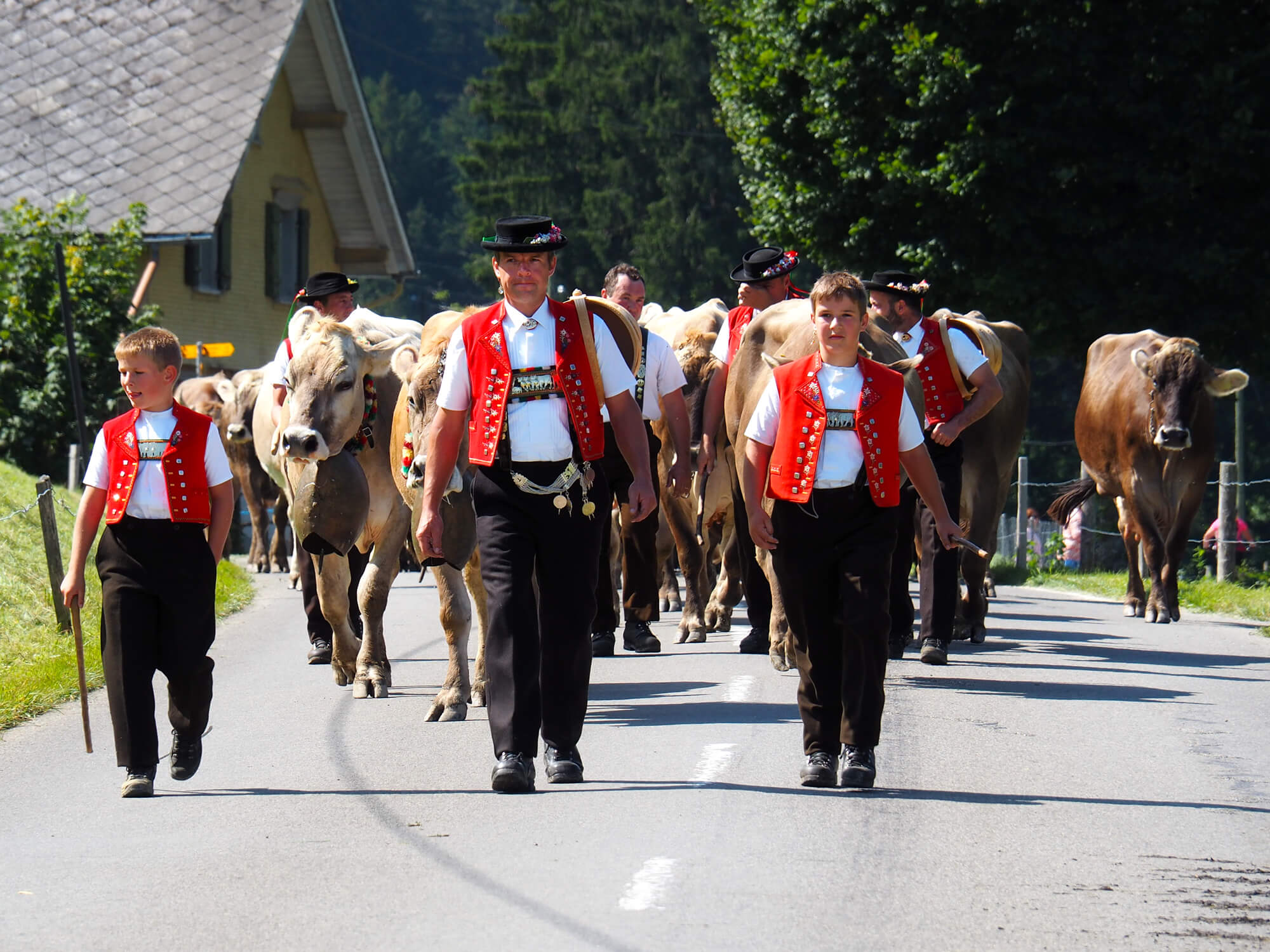 2023 Guide to Alpine Cow Parades in Switzerland