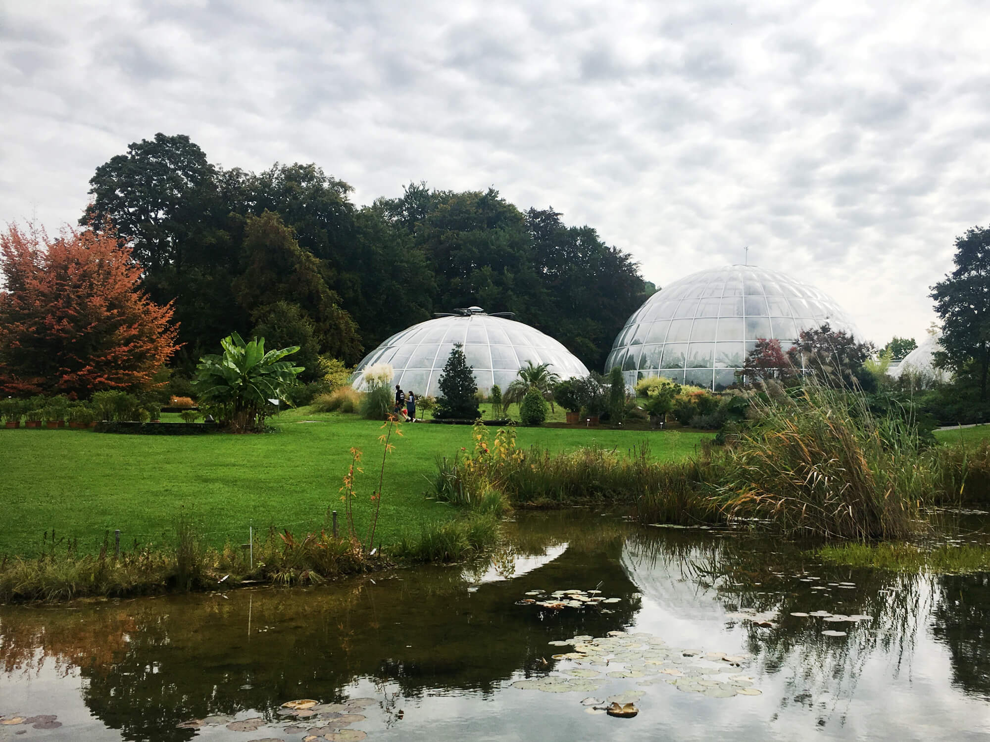 8 Botanical Gardens in Zurich with Free Admission Newly Swissed