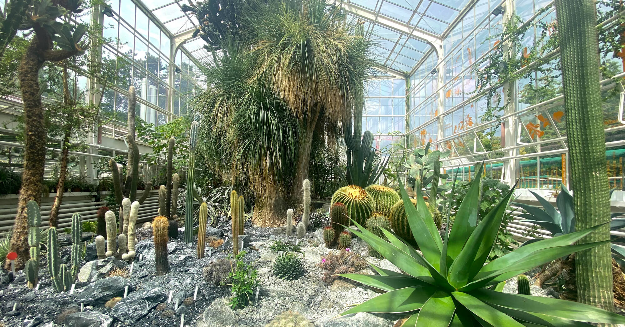 8 Botanical Gardens in Zurich with Free Admission Newly Swissed