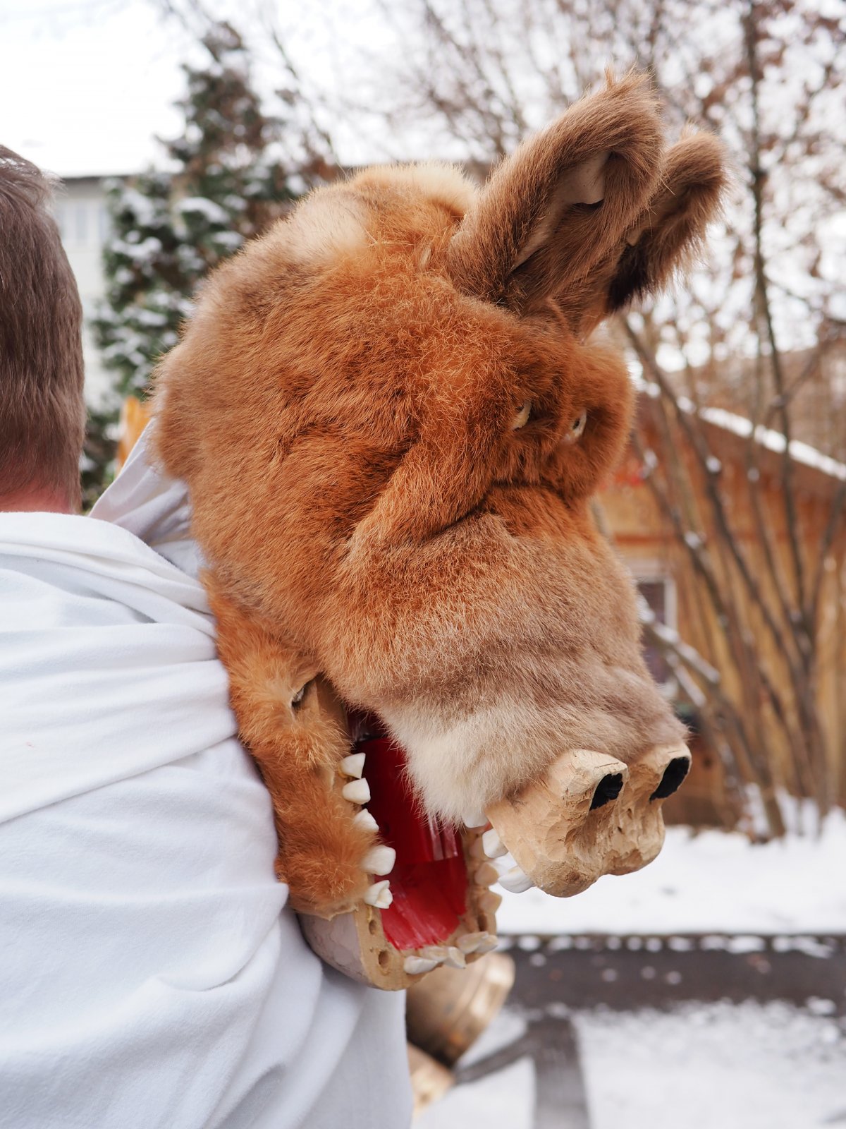 Schnappesel in Wald is the weirdest New Year's tradition in Switzerland