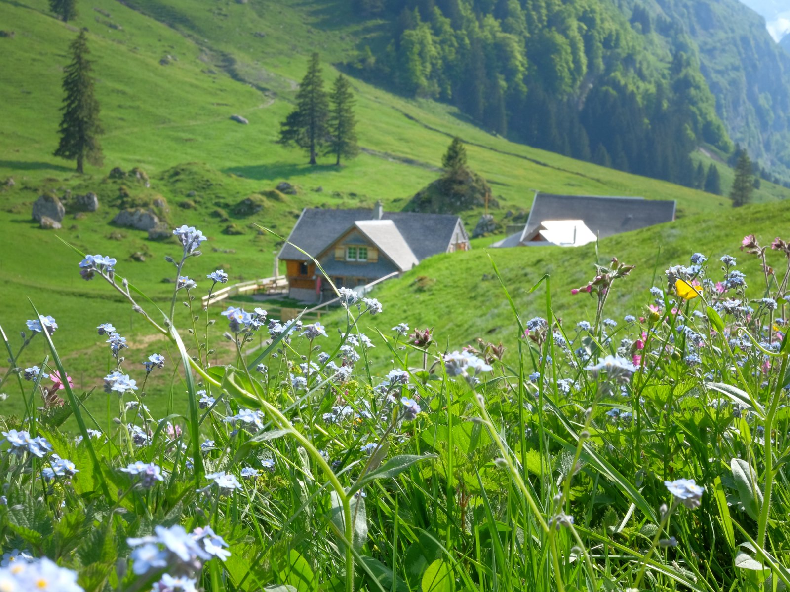 Beizli Mountain Pubs in Switzerland