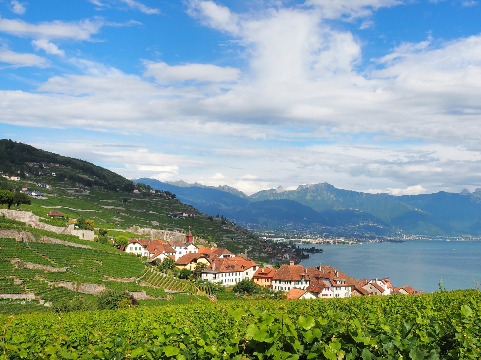 Lavaux Vineyards Hiking - UNESCO World Heritage Site