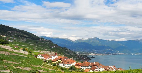 Lavaux Vineyards Hiking - UNESCO World Heritage Site