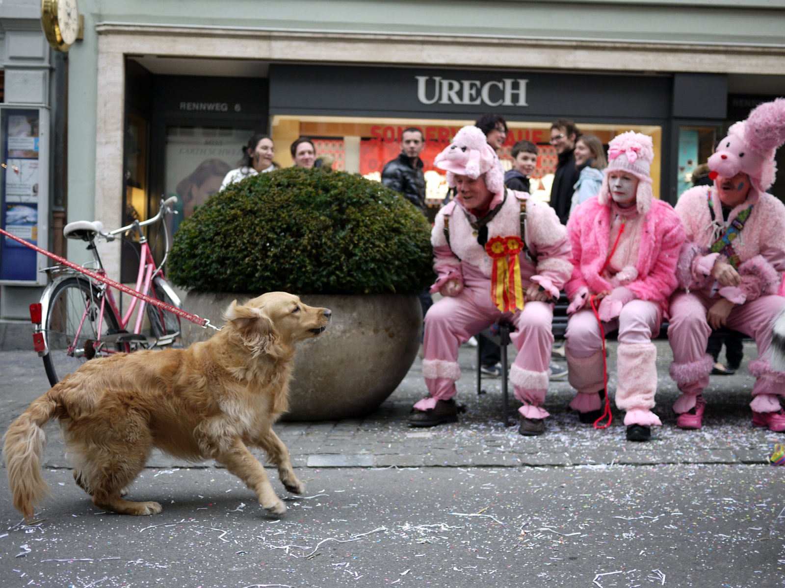 ZüriCarneval Zurich Carnival Pig Costumes