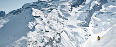 Freeriding - Copyright Engelberg-Titlis Tourismus