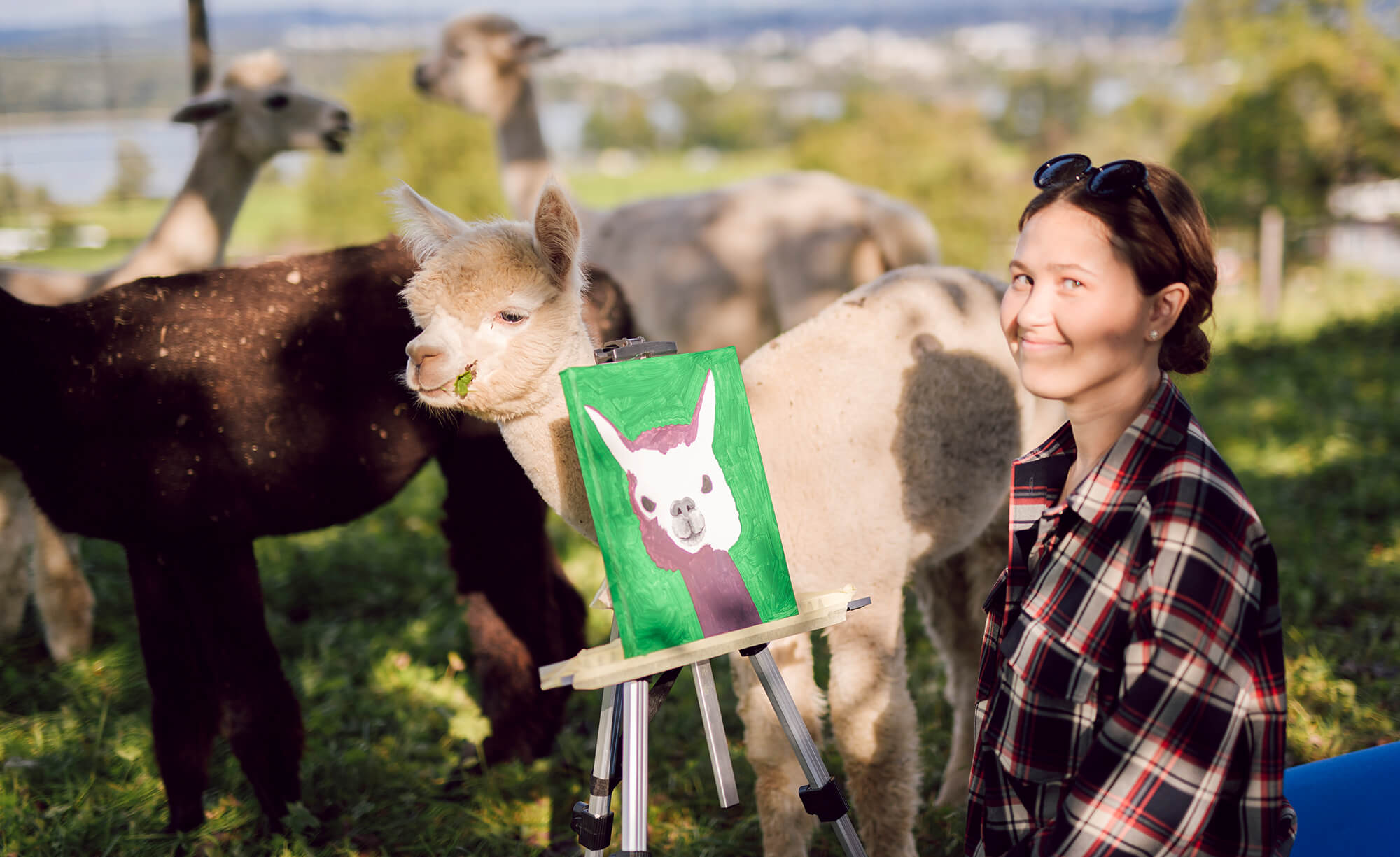 Alpaca Painting Workshop in Switzerland