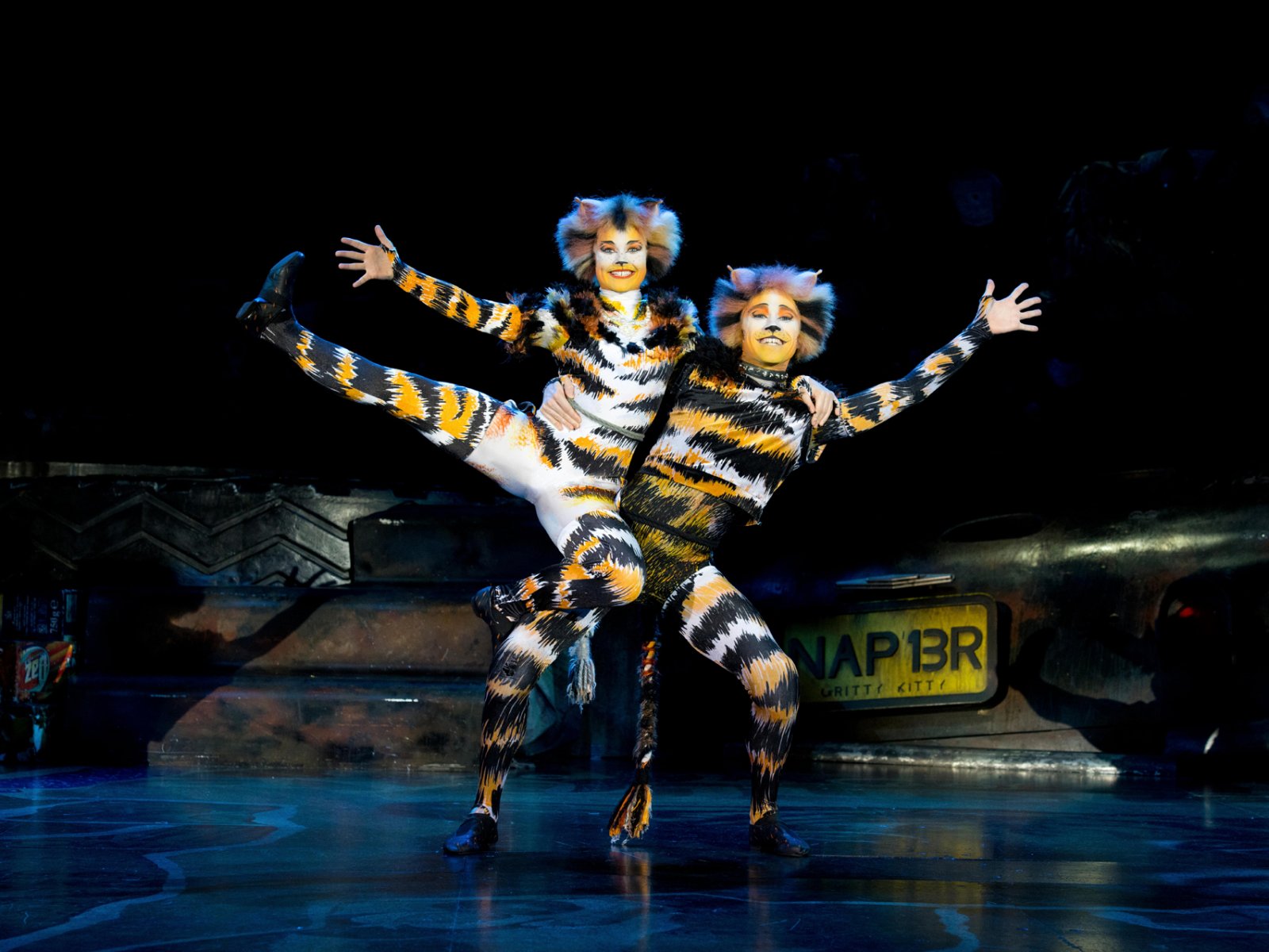 CATS Musical in Zurich