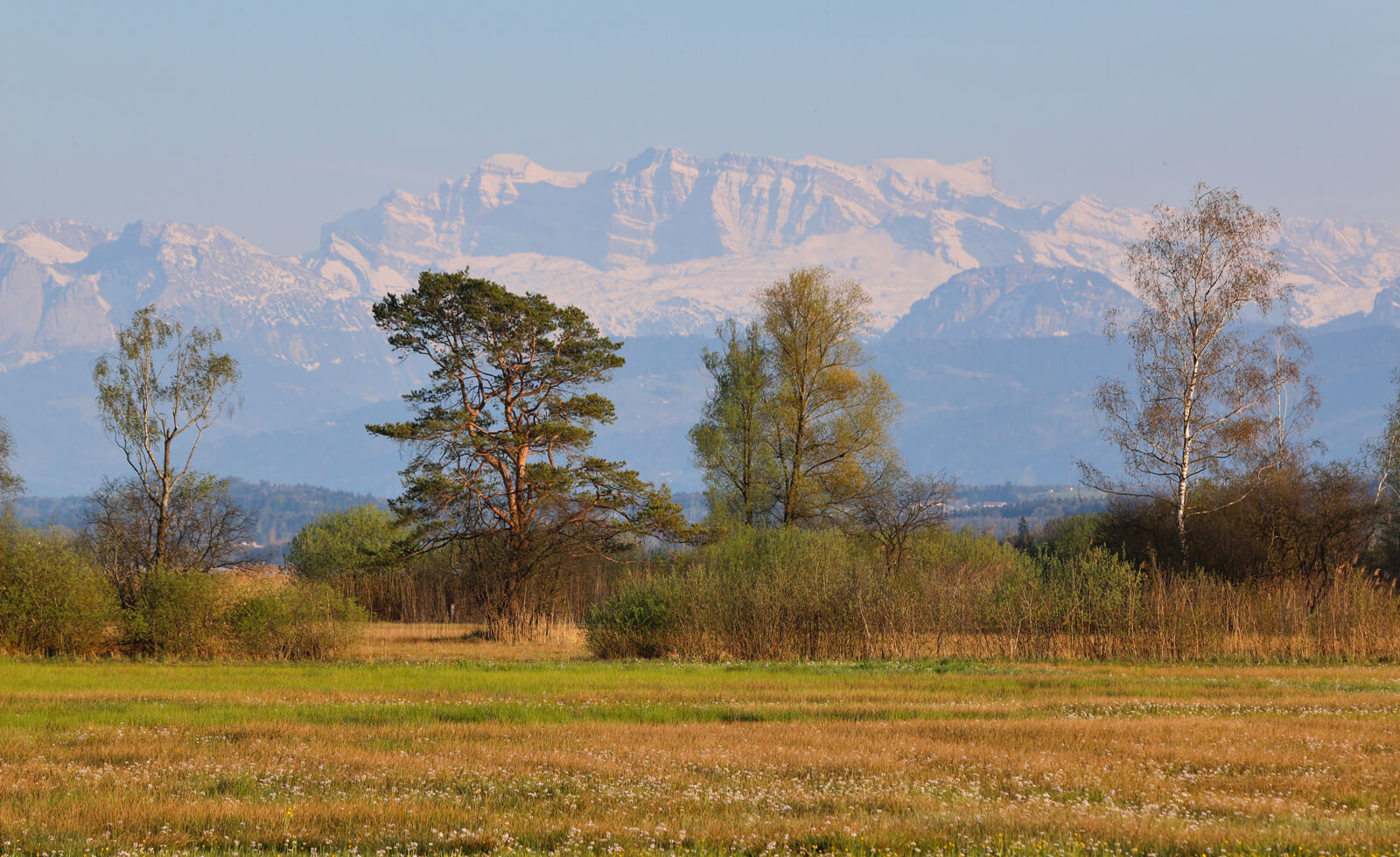 Greifensee with View of Glarner Alps
