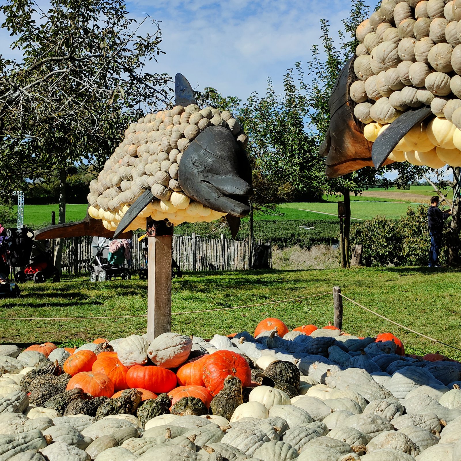 Pumpkin Dolphin at the Juckerfarm Pumpkin Exhibit 2021