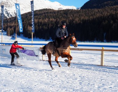 Skijoring at White Turf in St. Moritz