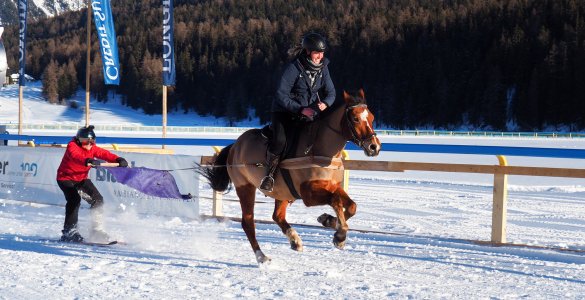 Skijoring at White Turf in St. Moritz