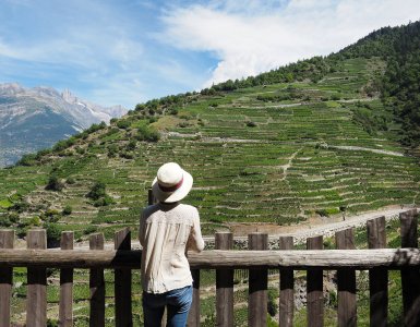 Visperterminen Heida Wine Hike