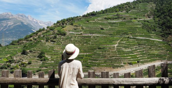 Visperterminen Heida Wine Hike