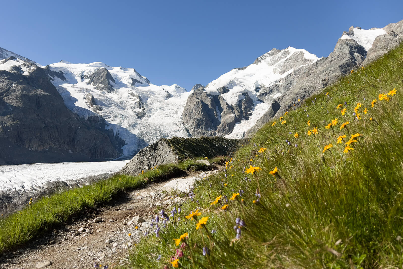 Bernina Ultraks 2022 - Christian Langenegger