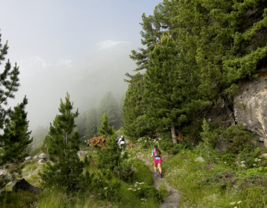 Bernina Ultraks Ultimate Glacier Marathon 2022 - Christian Langenegger