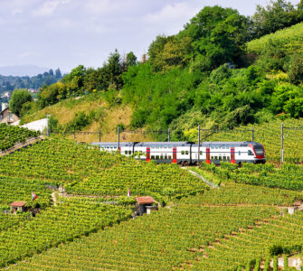 Intercity IC 1 train passing vineyards in the Lavaux region