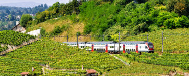 Intercity IC 1 train passing vineyards in the Lavaux region