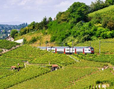 Intercity IC 1 train passing vineyards in the Lavaux region