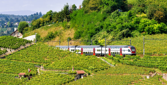 Intercity IC 1 train passing vineyards in the Lavaux region