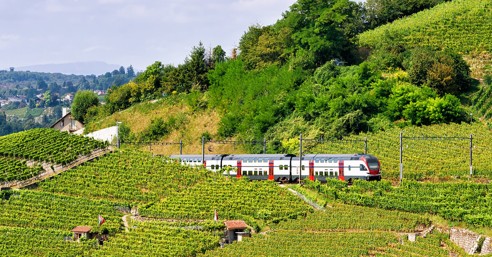 From Geneva to Zurich By Train Duration, Prices, Schedules Newly