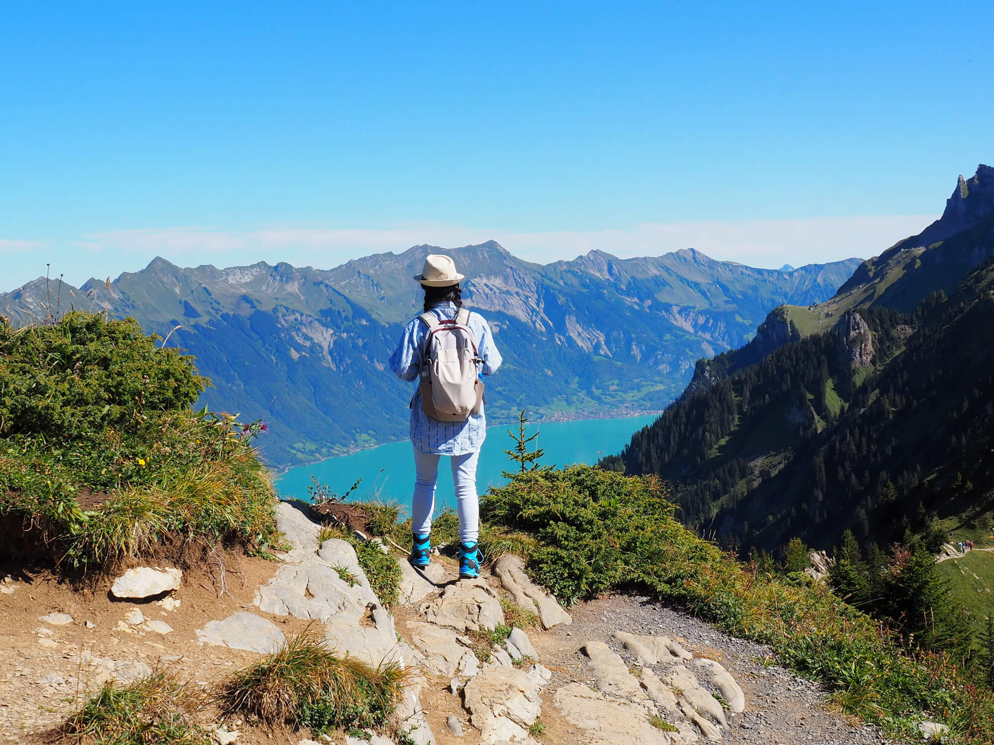 Schynige Platte - Interlaken Itinerary for Millennials