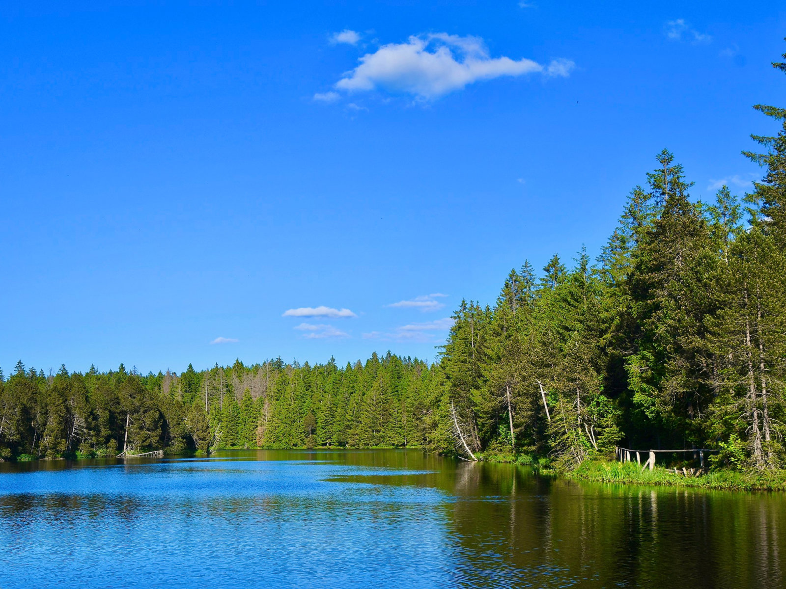 Etang de la Gruère Lake in the Jura