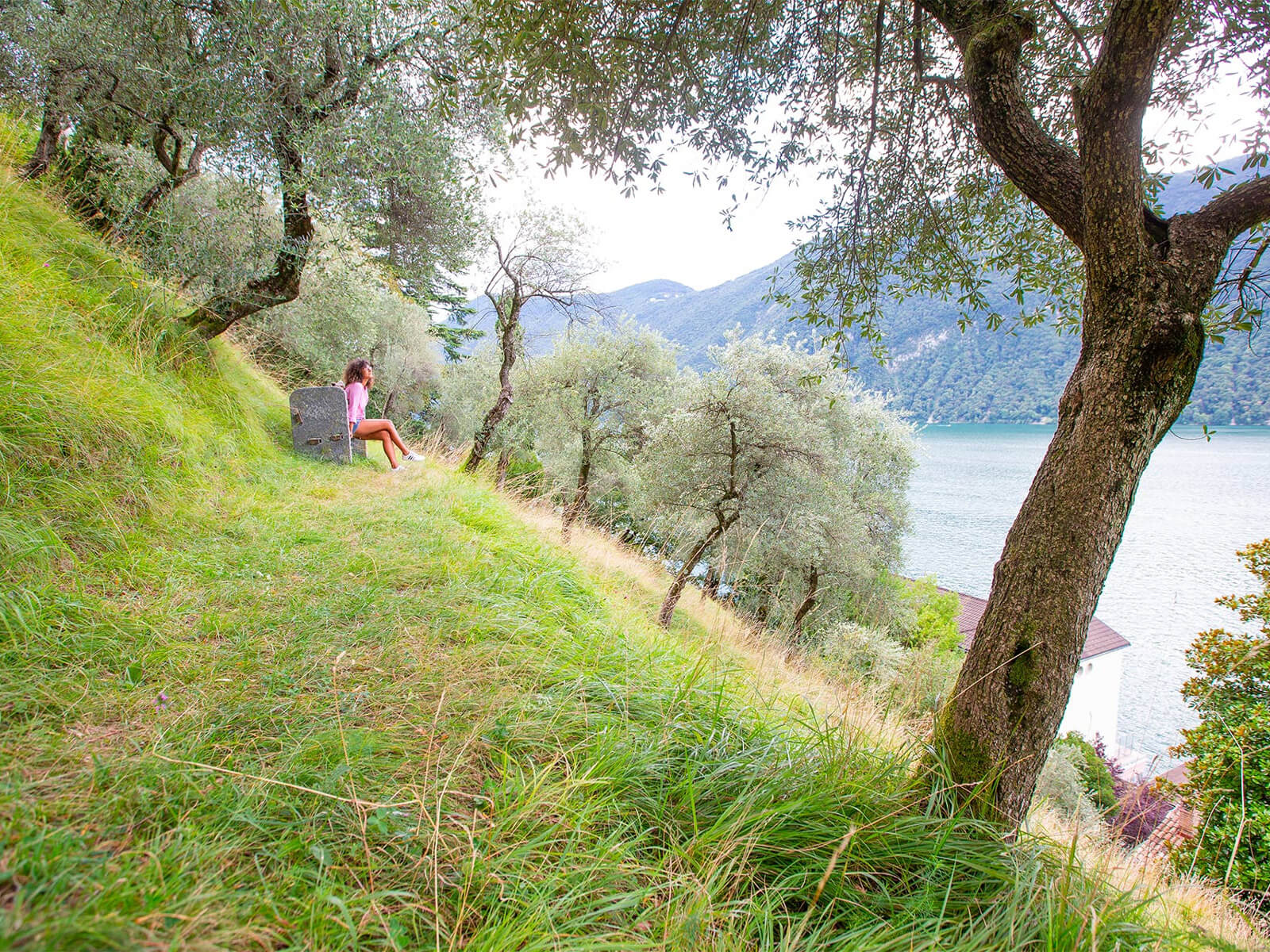 Autumn Colors of Ticino - Gandria Olive Green