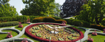 Time in Geneva - L'Horloge Fleurie Flower Clock in Geneva, Switzerland