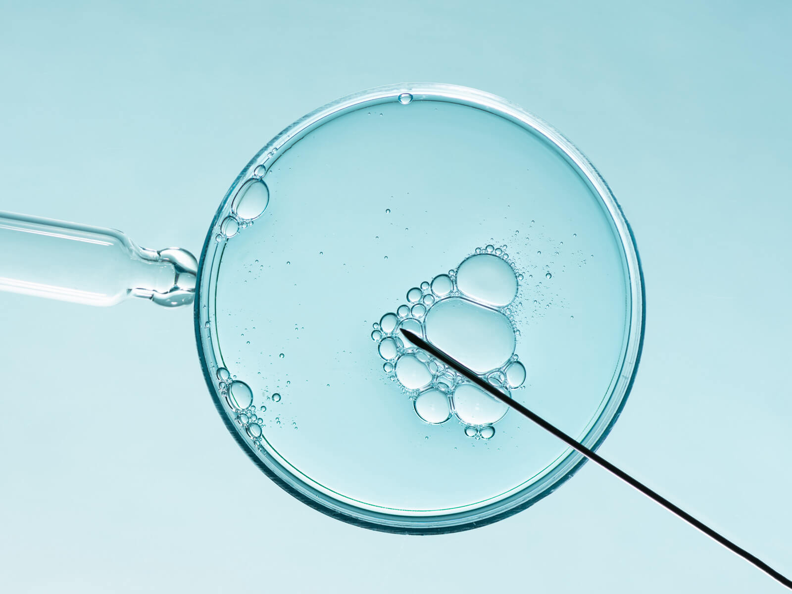 IVF in Switzerland - In-Vitro Fertilization Macro Photography