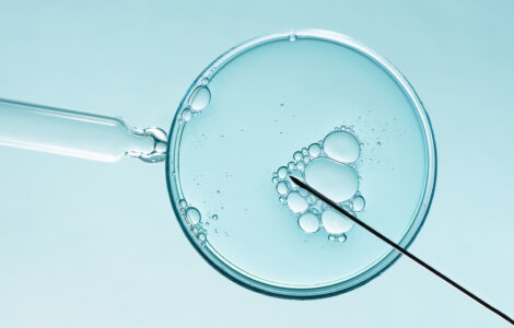 IVF in Switzerland - In-Vitro Fertilization Macro Photography