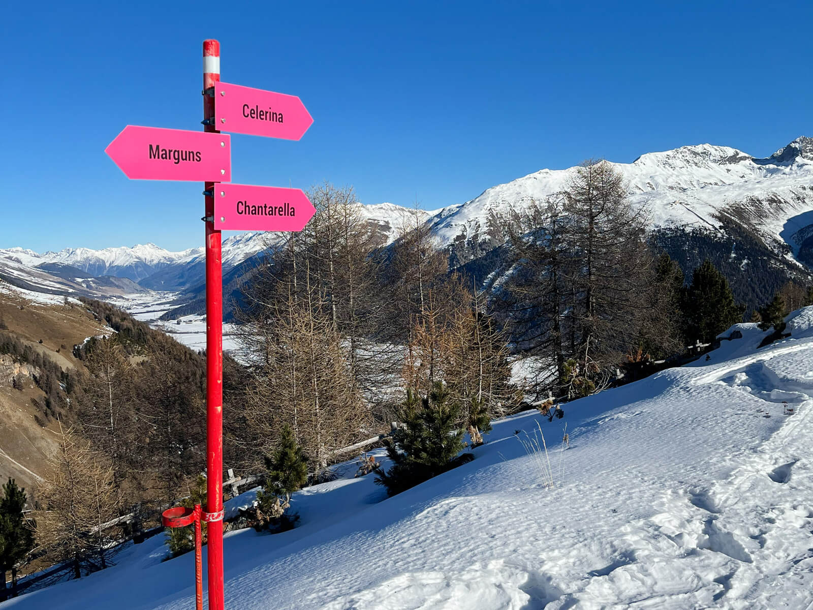 La-Punt Winter Hike - Brenna