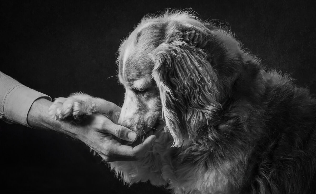 Pepper - Copyright Mont-Blanc Photography - Heather Ennis